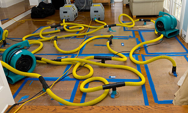 Professional Water Extraction technician working in Amsterdam, OH